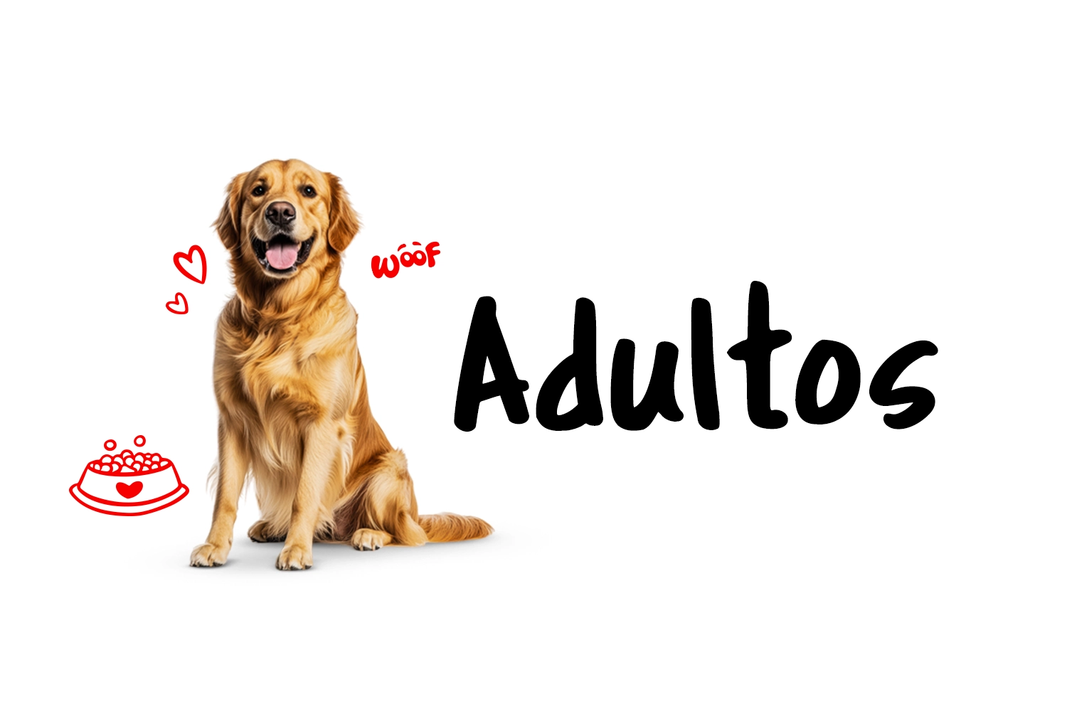 Banner Mobile