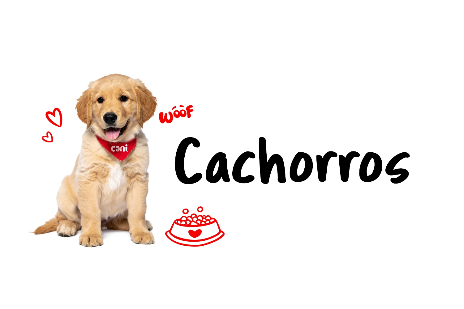 Banner Mobile