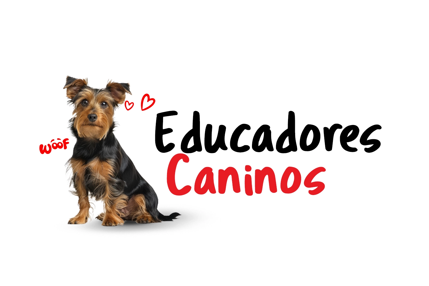 Banner Mobile