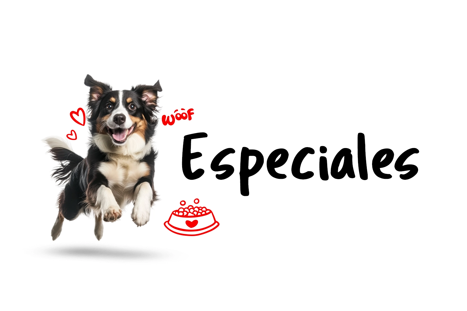 Banner Mobile