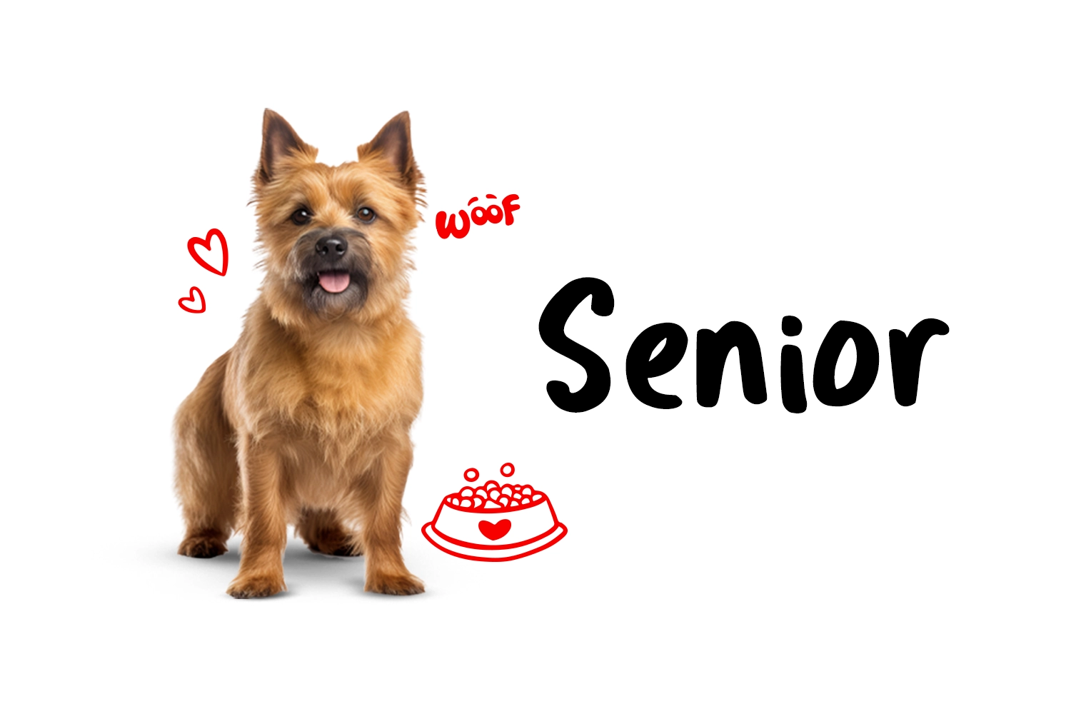 Banner Mobile