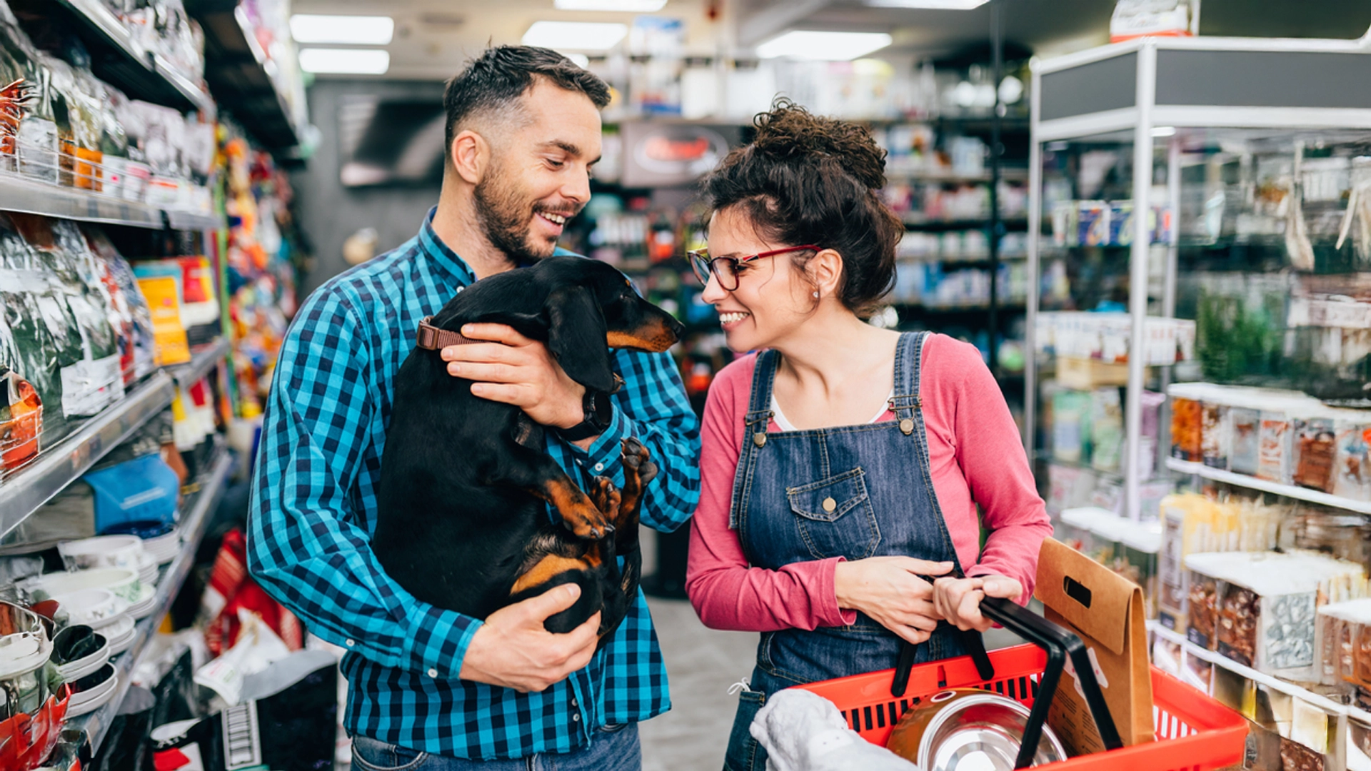Amor con responsabilidad: ¿qué es la tenencia responsable de animales de compañía?